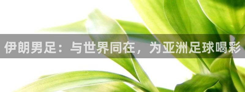 世界杯预选赛：伊朗男足：与世界同在，为亚洲足球喝彩