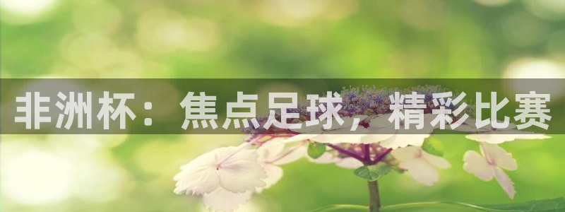 2026世界杯亚洲区预选赛：非洲杯：焦点足球，精彩比赛