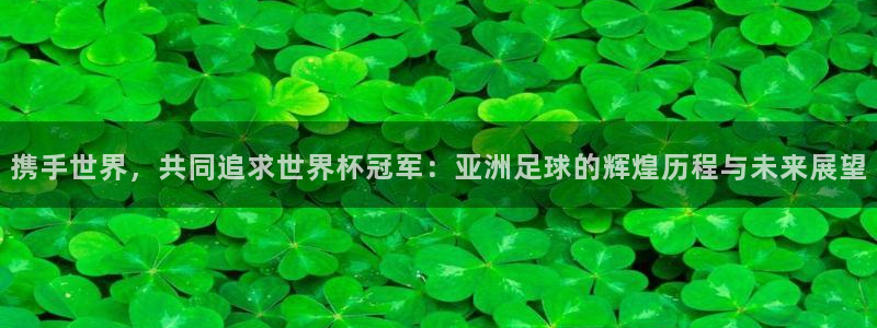 世界杯预选赛赛程时间表：携手世界，共同追求世界杯冠军：亚洲足球的辉煌历程与未来展望