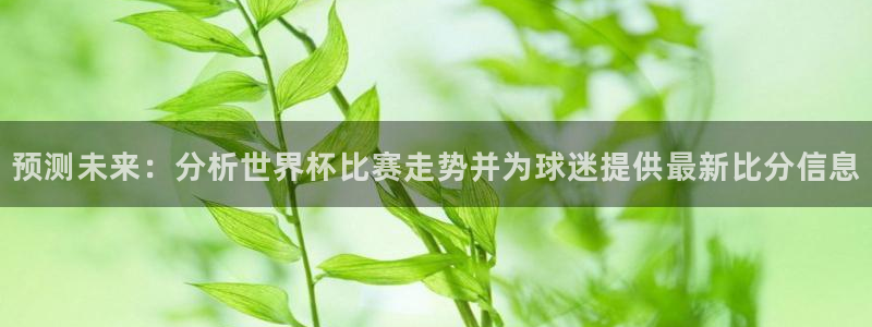 世界杯2026赛程时间表格：预测未来：分析世界杯比赛走势并为球迷提供最新比分信息