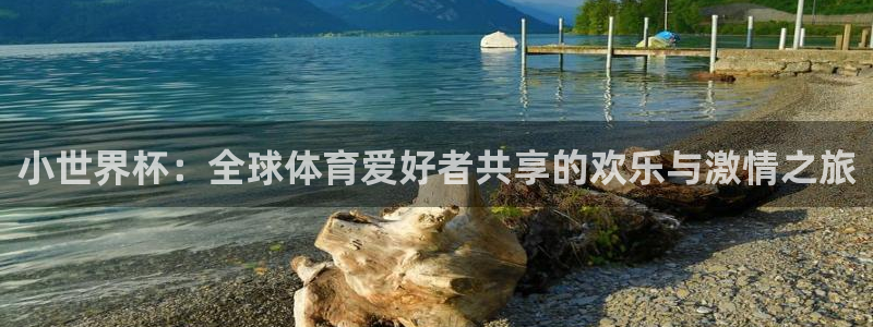 世界杯48支球队赛制：小世界杯：全球体育爱好者共享的欢乐与激情之旅